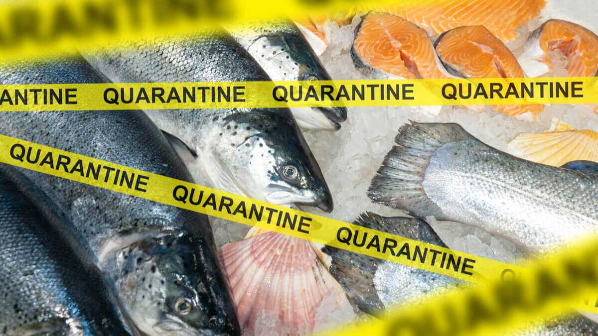 China gets a scare with Coronavirus found on frozen food packages