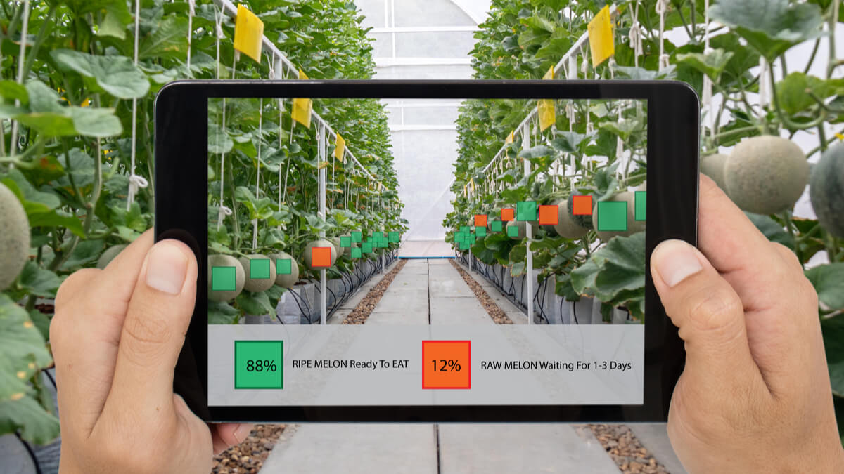 vertical farming