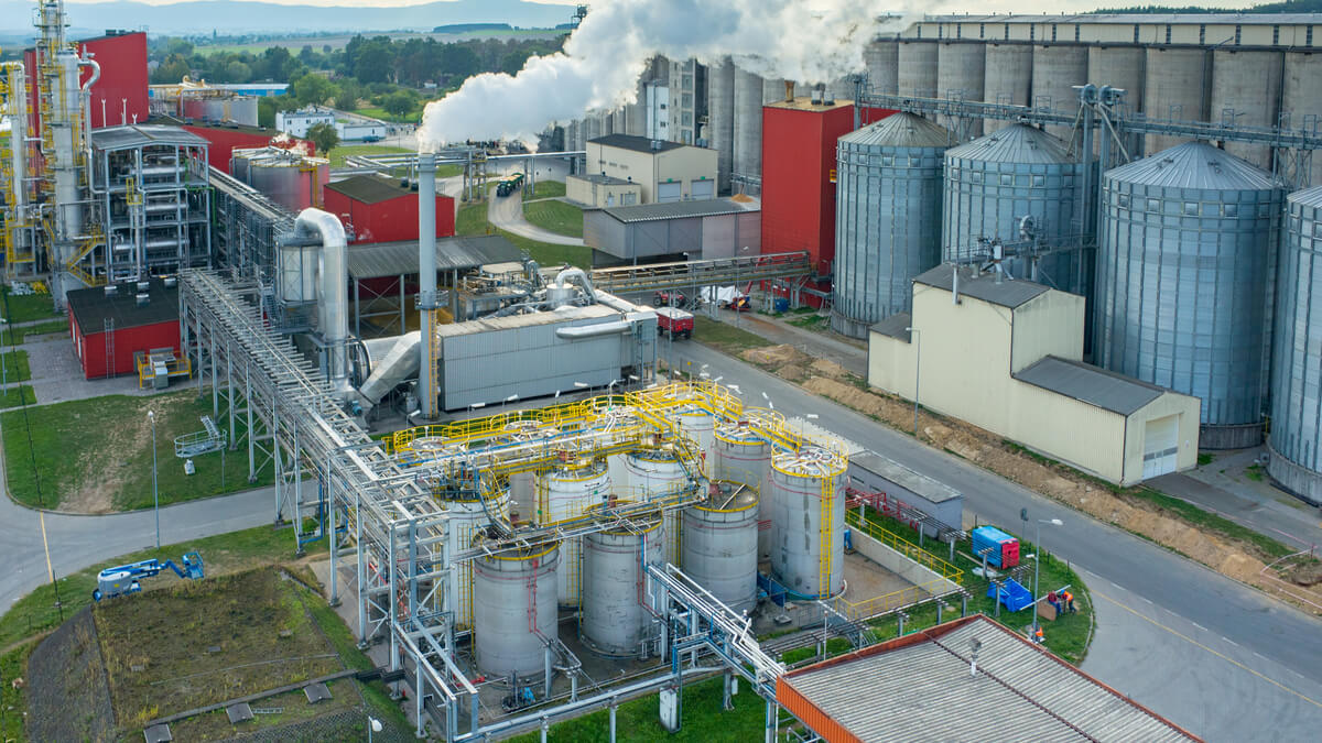 Biofuels producers